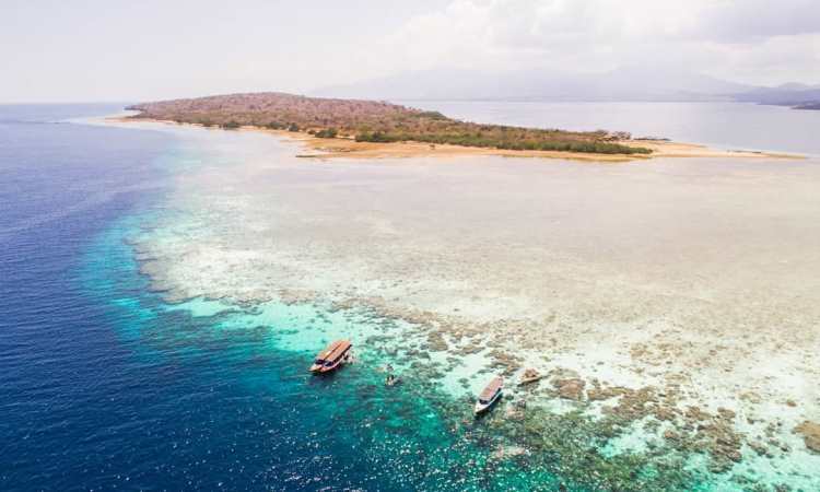 Pulau Menjangan Bali Pulau Kecil Dengan Pesona Bawah Laut Yang Memukau