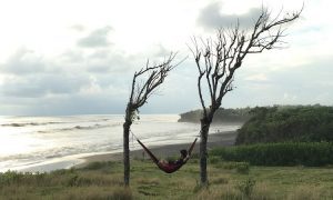 Pantai Nyanyi Pantai Eksotis Spot Surfing Favorit Di Tabanan Bali