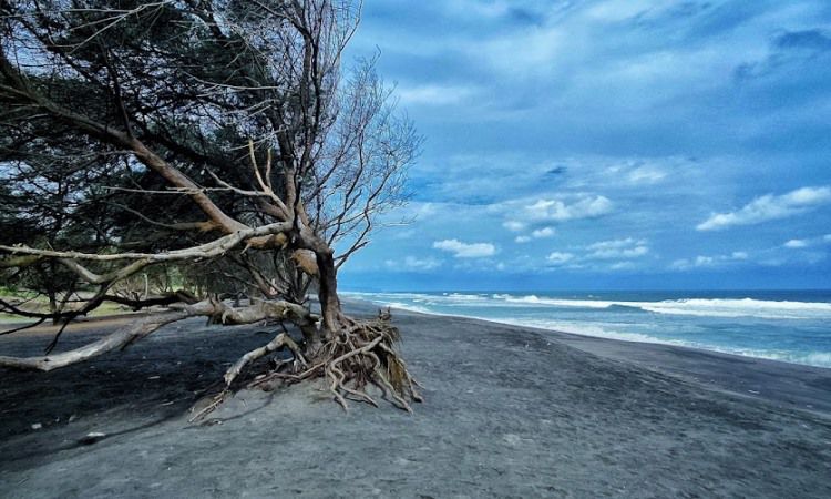 Wisata Pantai Di Bantul Paling Hits Buat Liburan De Jogja