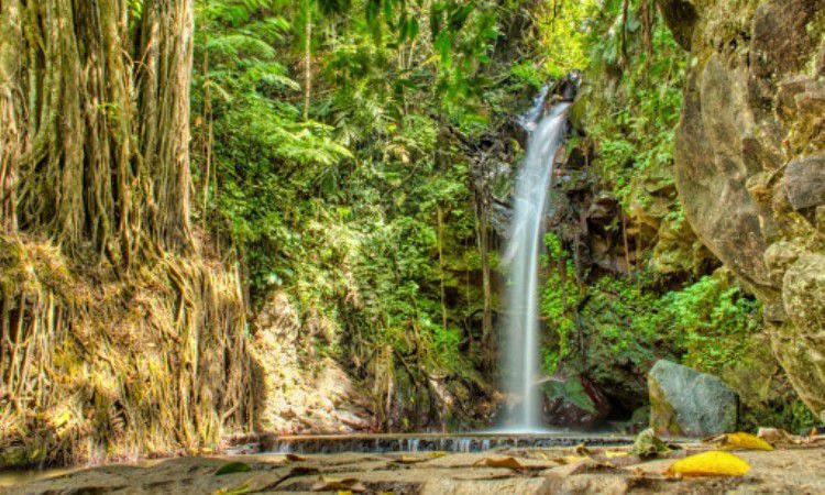 Curug Putri Palutungan Pesona Air Terjun Eksotis Nan Alami Di Kuningan