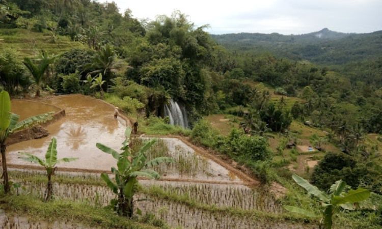 Curug Sawer Air Terjun Eksotis Dengan Panorama Yang Memukau Di