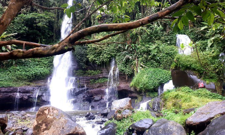 Curug Orok Pesona Air Terjun Indah Di Kaki Gunung Papandayan Garut