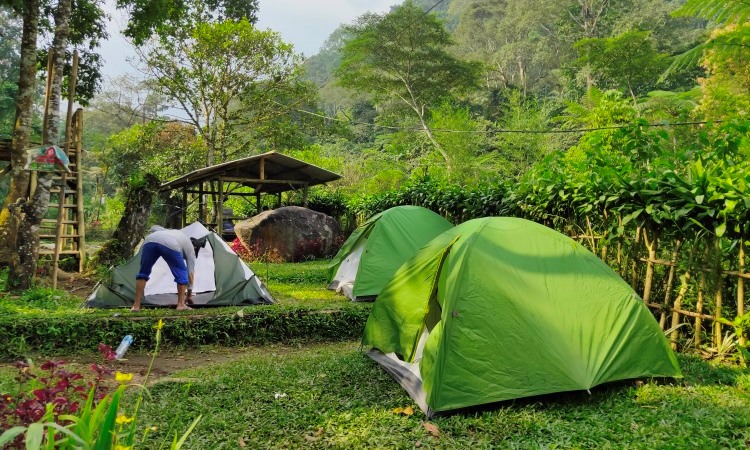 Pondok Halimun Kawasan Wisata Alam Outbond Seru Di Sukabumi De Java