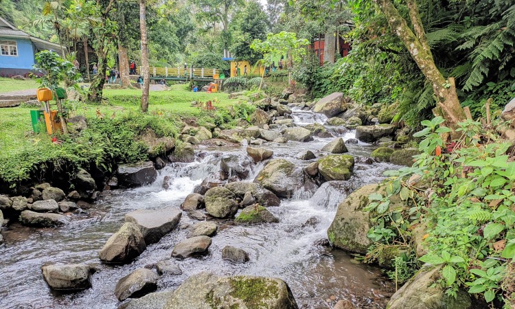 Pondok Halimun Kawasan Wisata Alam Outbond Seru Di Sukabumi De Java