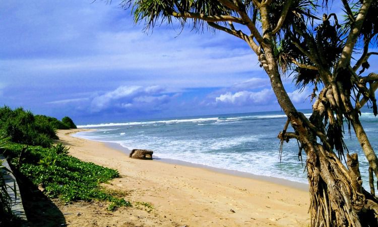 Pantai Karang Papak Spot Terbaik Menikmati Panorama Sunset Di Garut