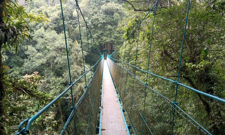 12 Tempat Wisata Di Cibodas Cianjur Terbaru Populer Hits Buat