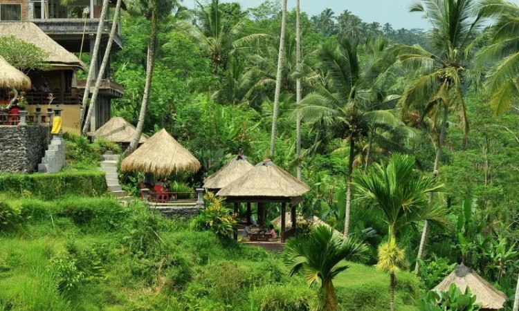 15 Tempat Wisata Di Gianyar Bali Terbaru & Terhits Buat Liburan - De Bali