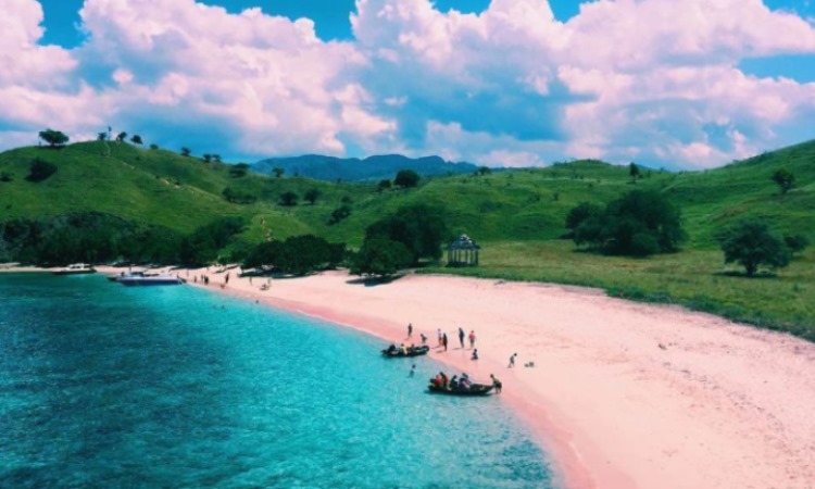 Pantai Tangsi Pink Beach Pantai Unik Yang Kaya Pesona Di Lombok De Bali