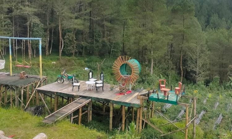 Hutan Pinus Kragilan Menikmati Panorama Alam Yang Memukau Di Magelang De Jogja 7105