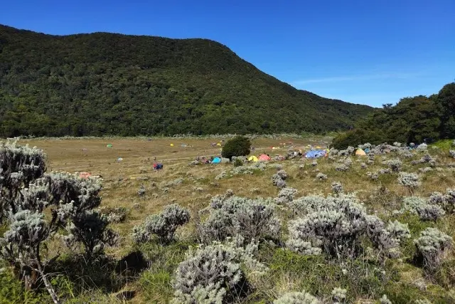 Taman Nasional Gunung Gede Pangrango, Wisata Alam Dengan Beragam Flora ...