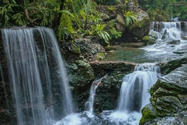 Curug Balong Endah, Surga Tersembunyi Di Taman Nasional Gunung Halimun ...